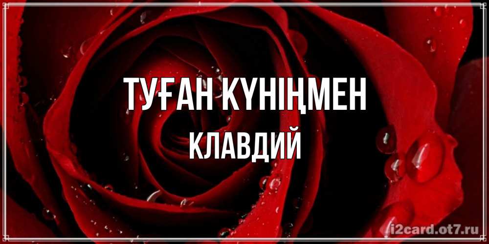 Күн сайын ашық хат с именем, Клавдий Туған күніңмен крупная бордовая роза Онлайн тегін жүктеп алу тілектері бар керемет карта 