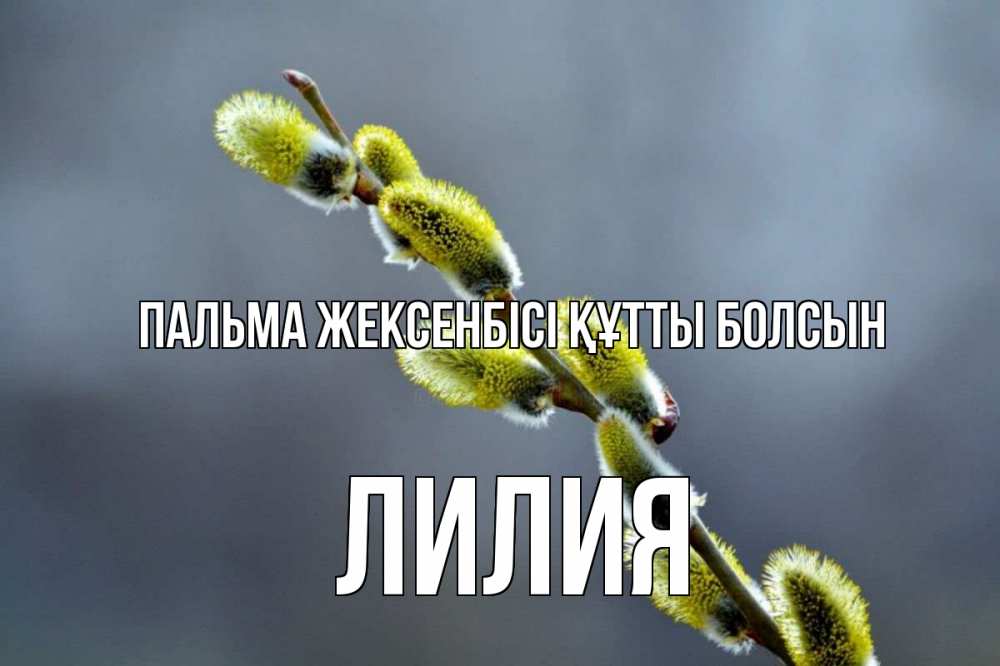 Күн сайын ашық хат с именем, Лилия Пальма жексенбісі құтты болсын верба Онлайн тегін жүктеп алу тілектері бар керемет карта 