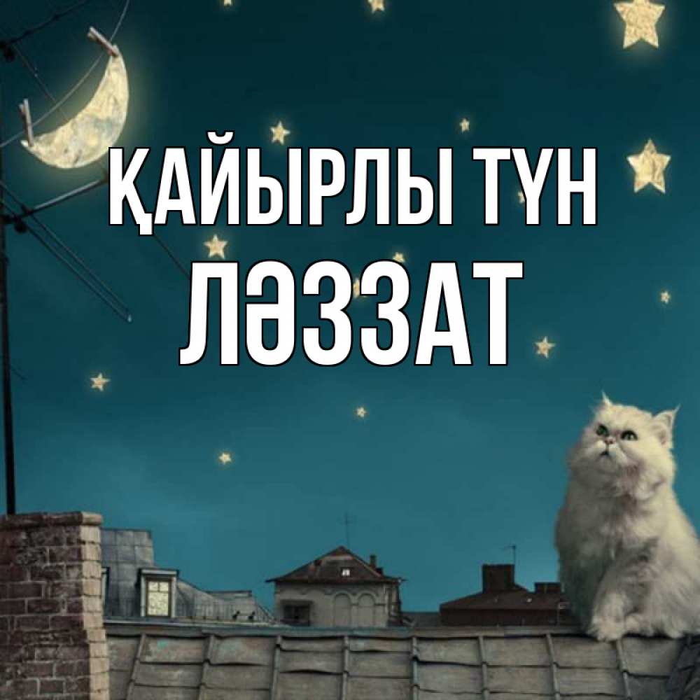 Күн сайын ашық хат с именем, ЛӘЗЗАТ Қайырлы түн белый кот сидит на крыше Онлайн тегін жүктеп алу тілектері бар керемет карта 