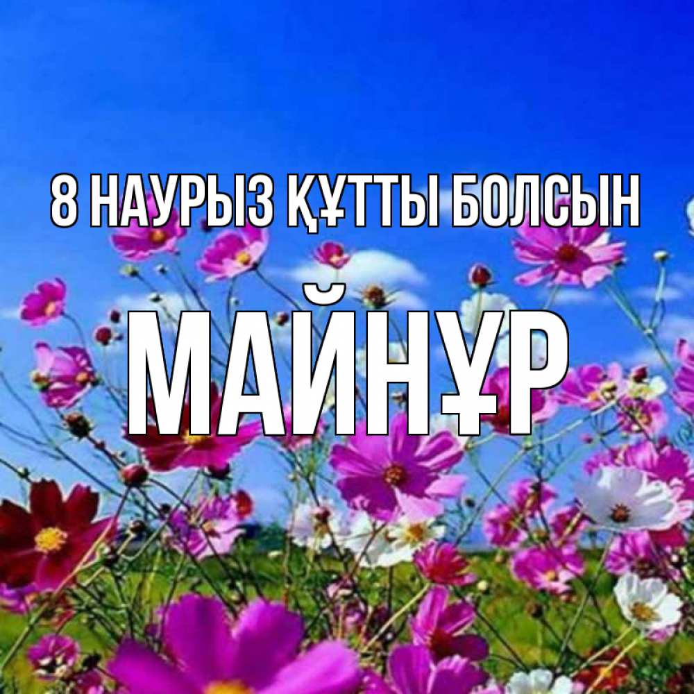 Күн сайын ашық хат с именем, МАЙНҰР 8 наурыз құтты болсын цветы Онлайн тегін жүктеп алу тілектері бар керемет карта 
