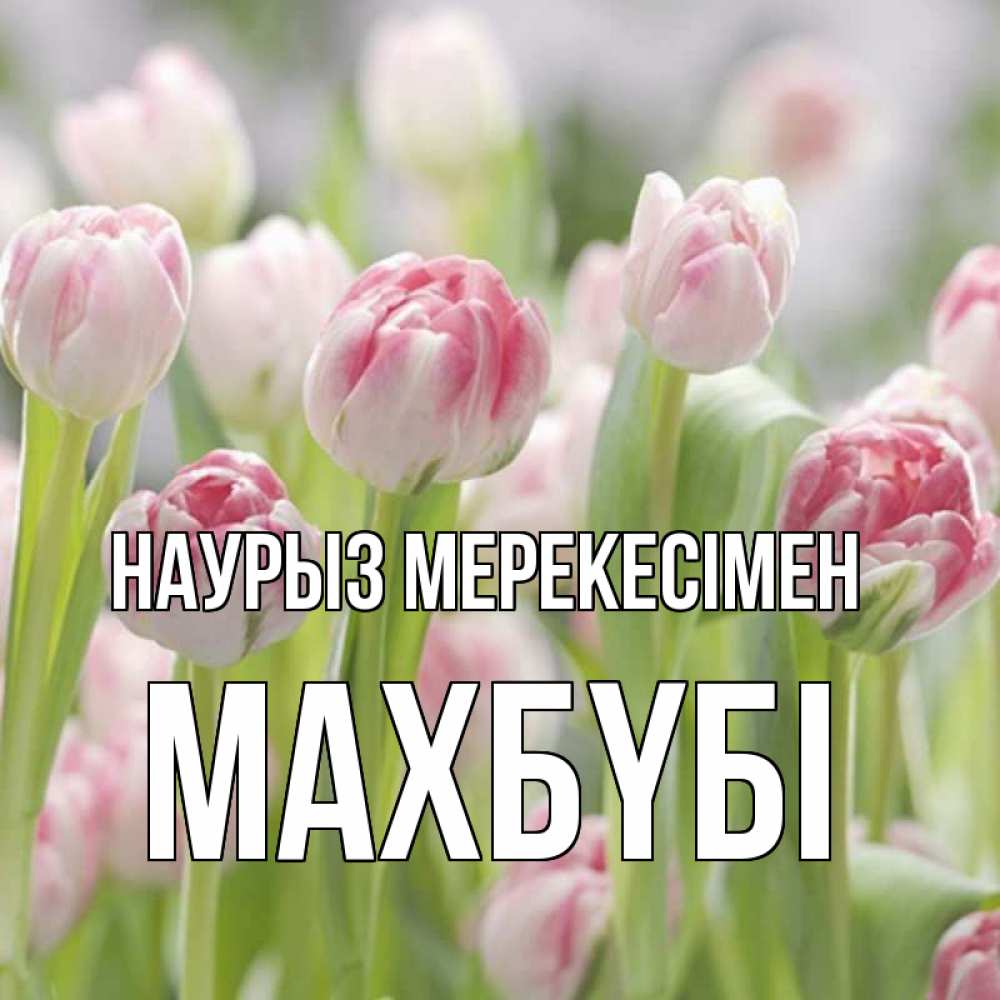 Күн сайын ашық хат с именем, МАХБҮБІ Наурыз мерекесімен цветы Онлайн тегін жүктеп алу тілектері бар керемет карта 
