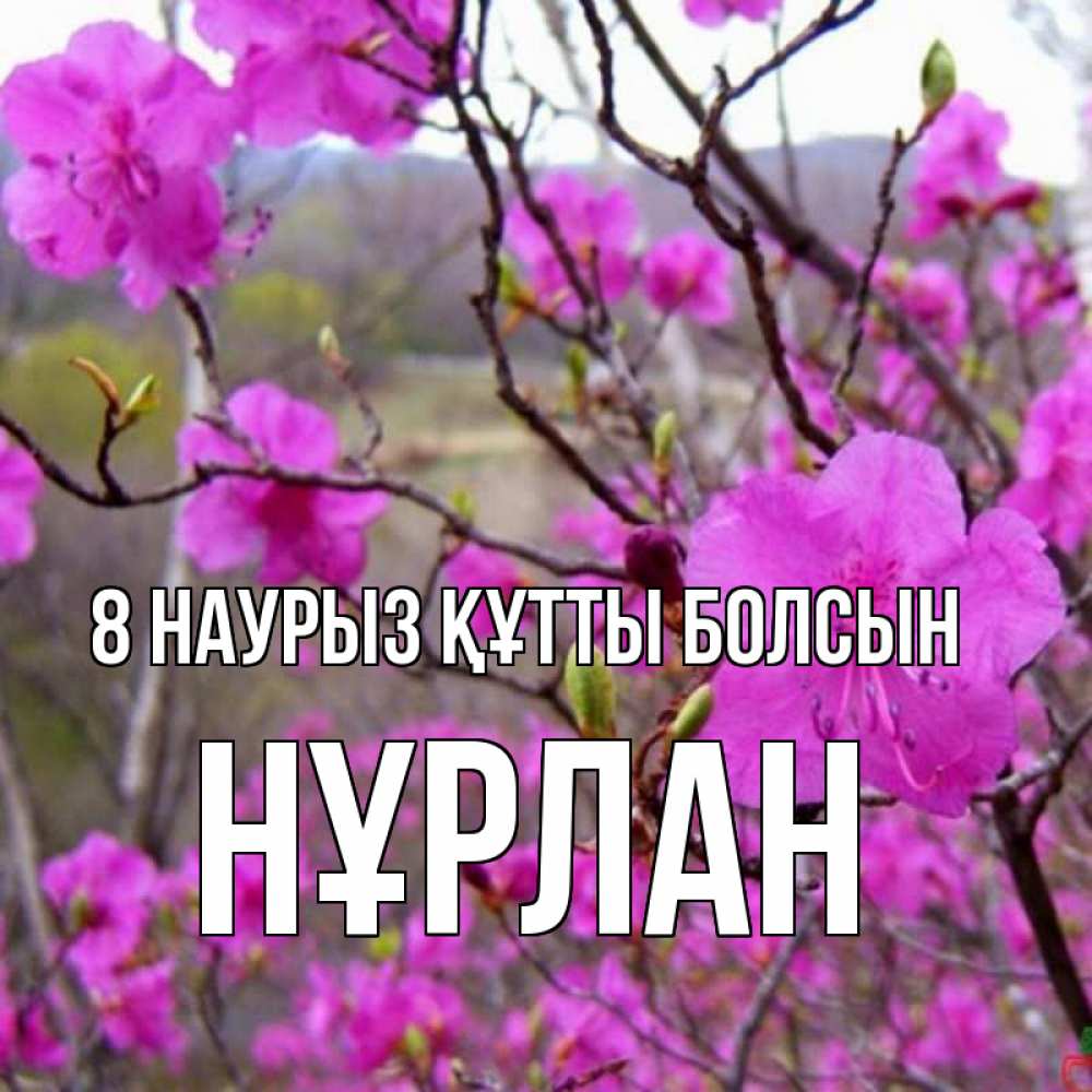 Күн сайын ашық хат с именем, НҰРЛАН 8 наурыз құтты болсын международный женский день Онлайн тегін жүктеп алу тілектері бар керемет карта 