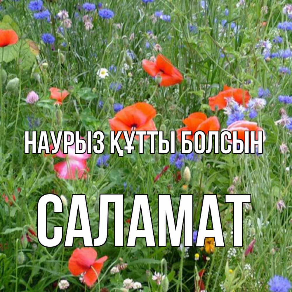 Күн сайын ашық хат с именем, САЛАМАТ Наурыз құтты болсын наурыз  4 Онлайн тегін жүктеп алу тілектері бар керемет карта 