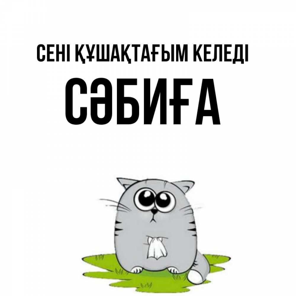 Күн сайын ашық хат с именем, СӘБИҒА сені құшақтағым келеді котик теребит платочек сидя на травке Онлайн тегін жүктеп алу тілектері бар керемет карта 