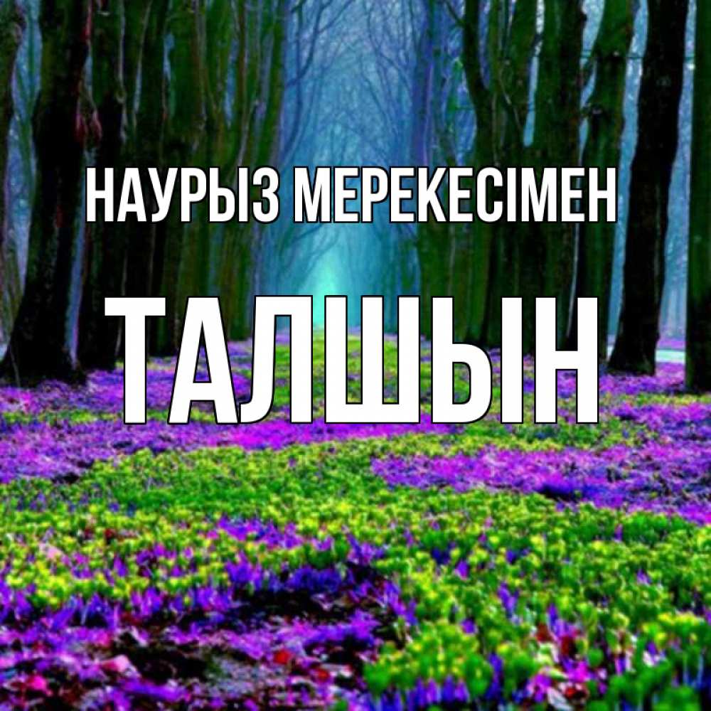 Күн сайын ашық хат с именем, ТАЛШЫН Наурыз мерекесімен фиолетовые цветы в лесу 1 Онлайн тегін жүктеп алу тілектері бар керемет карта 