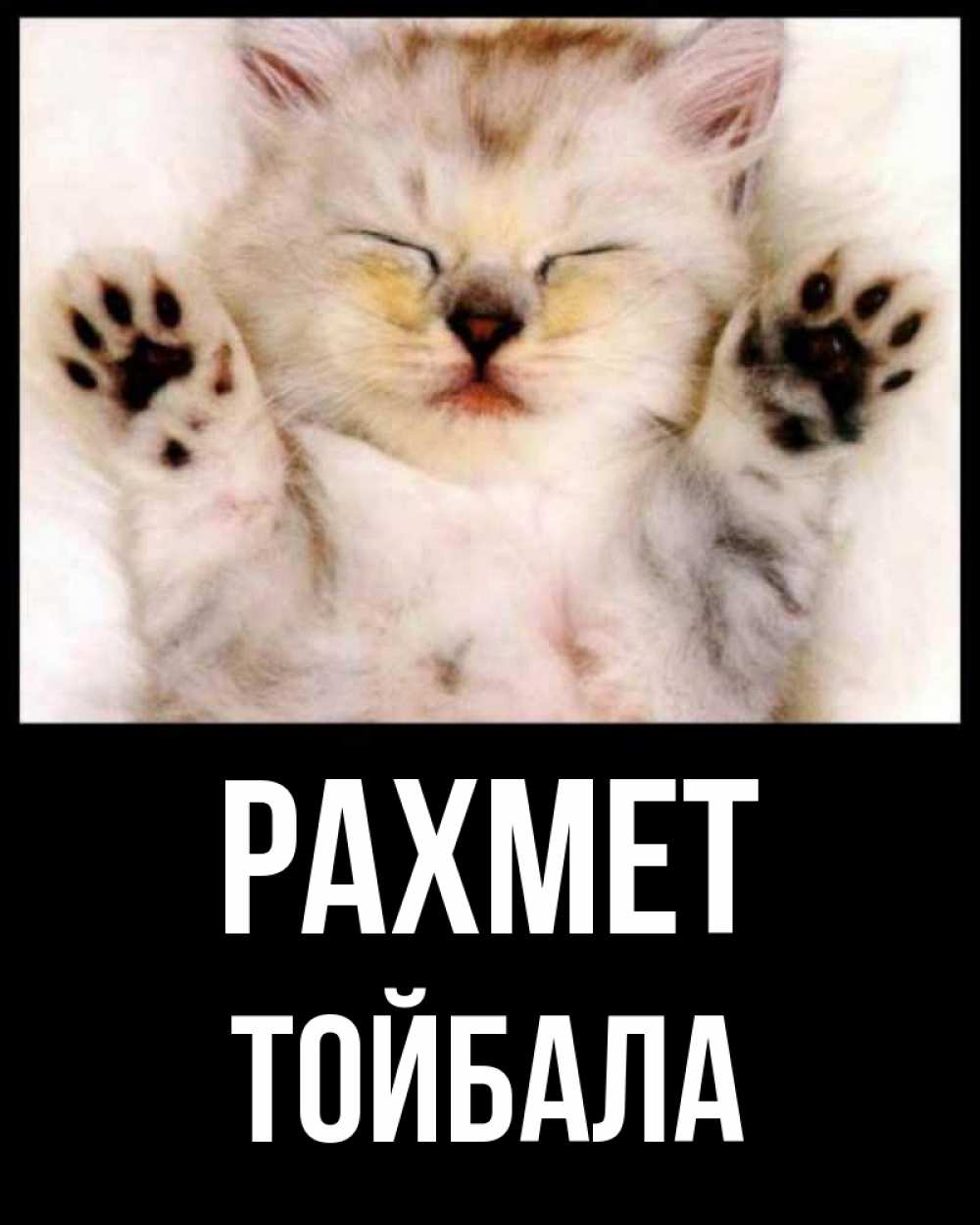Күн сайын ашық хат с именем, ТОЙБАЛА рахмет маленький котенок Онлайн тегін жүктеп алу тілектері бар керемет карта 