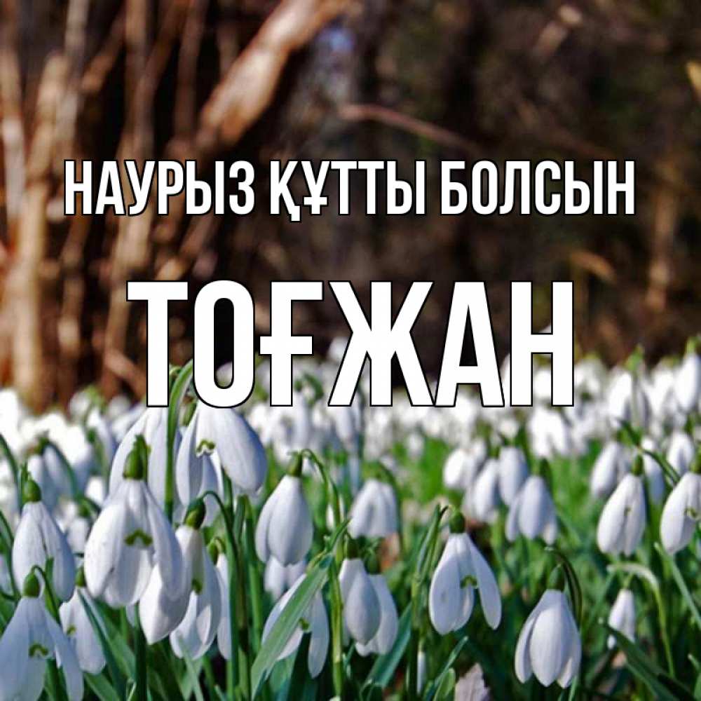Күн сайын ашық хат с именем, ТОҒЖАН Наурыз құтты болсын с подснежниками 1 Онлайн тегін жүктеп алу тілектері бар керемет карта 
