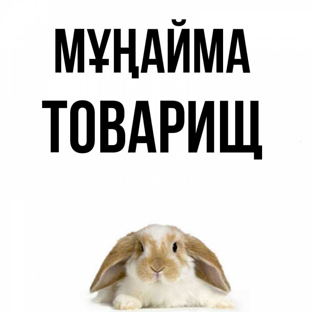 Күн сайын ашық хат с именем, Товарищ Мұңайма коричнево белый заяц с большими ушками Онлайн тегін жүктеп алу тілектері бар керемет карта 