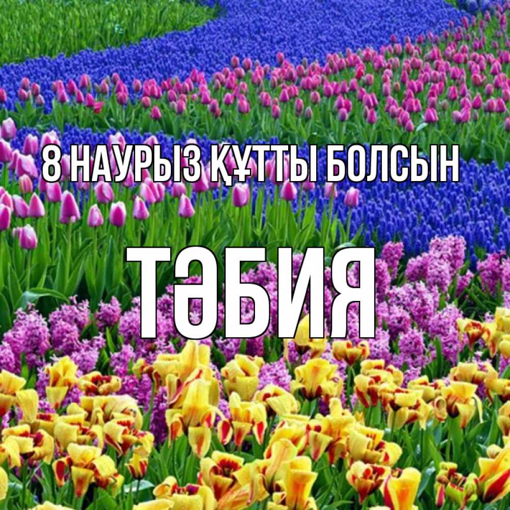 Күн сайын ашық хат с именем, ТӘБИЯ 8 наурыз құтты болсын цветы Онлайн тегін жүктеп алу тілектері бар керемет карта 