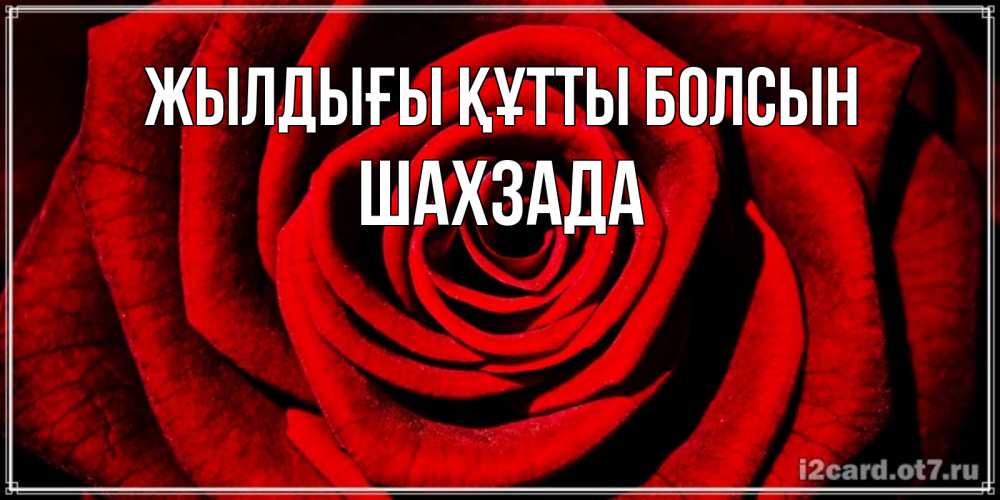 Күн сайын ашық хат с именем, ШАХЗАДА Жылдығы құтты болсын алая роза Онлайн тегін жүктеп алу тілектері бар керемет карта 