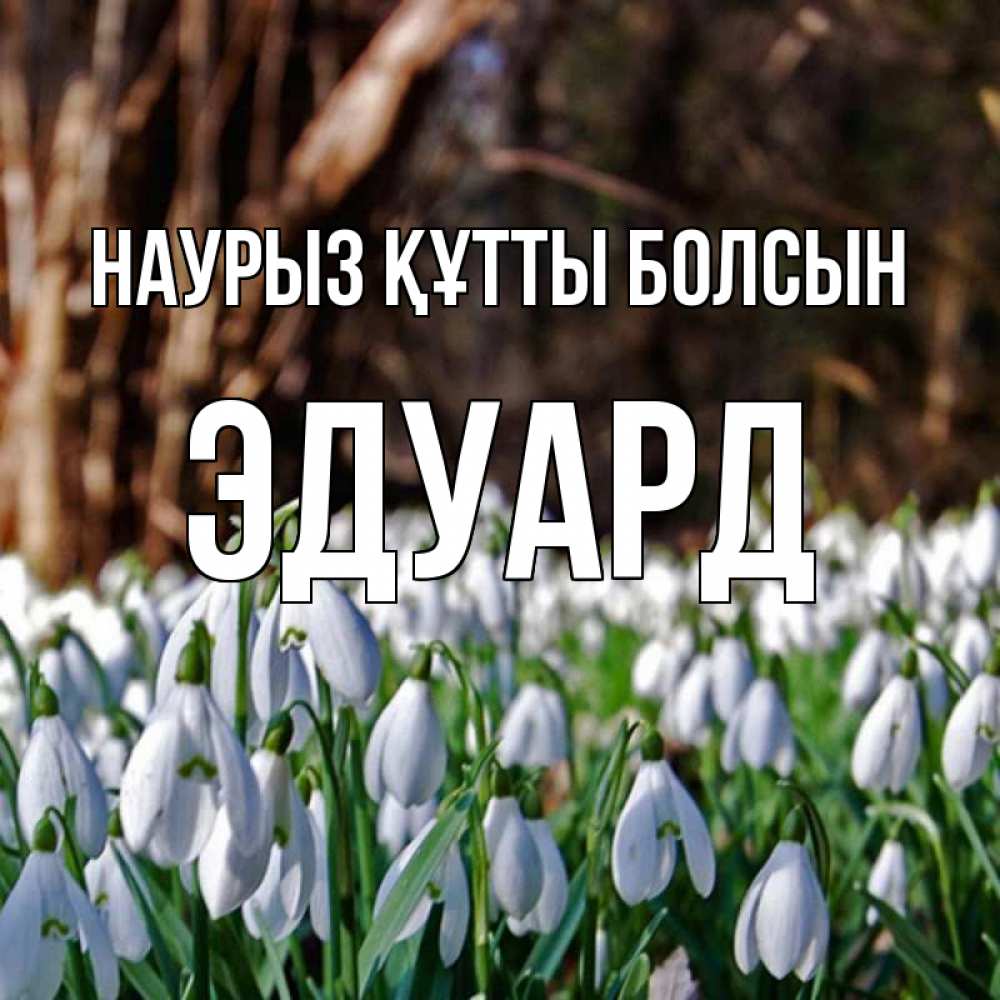 Күн сайын ашық хат с именем, Эдуард Наурыз құтты болсын с подснежниками 1 Онлайн тегін жүктеп алу тілектері бар керемет карта 