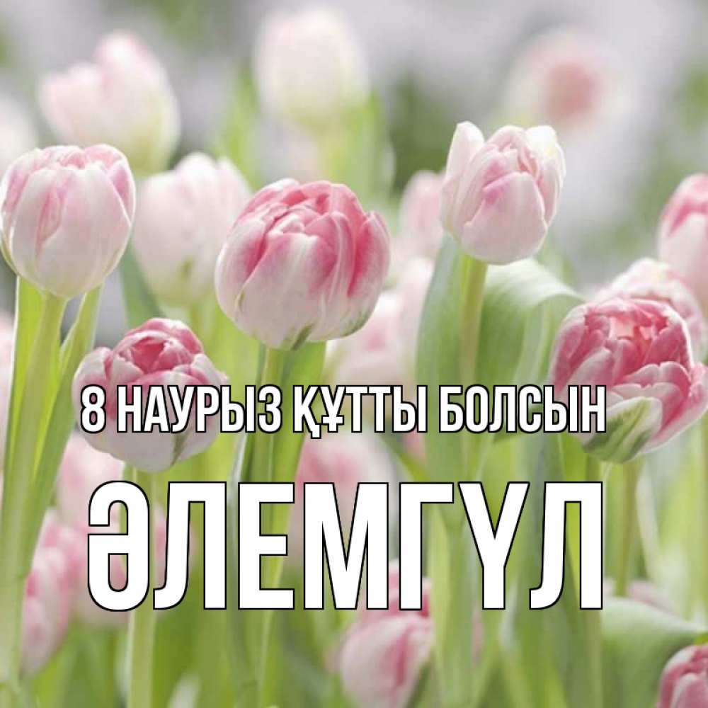 Күн сайын ашық хат с именем, ӘЛЕМГҮЛ 8 наурыз құтты болсын цветы Онлайн тегін жүктеп алу тілектері бар керемет карта 