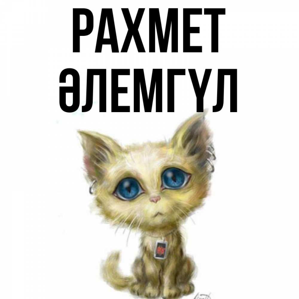 Күн сайын ашық хат с именем, ӘЛЕМГҮЛ рахмет рисованный кот благодарит вас Онлайн тегін жүктеп алу тілектері бар керемет карта 