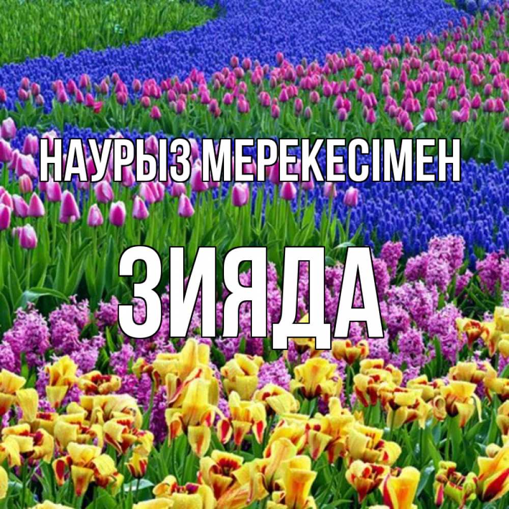 Күн сайын ашық хат с именем, ЗИЯДА Наурыз мерекесімен цветы Онлайн тегін жүктеп алу тілектері бар керемет карта 