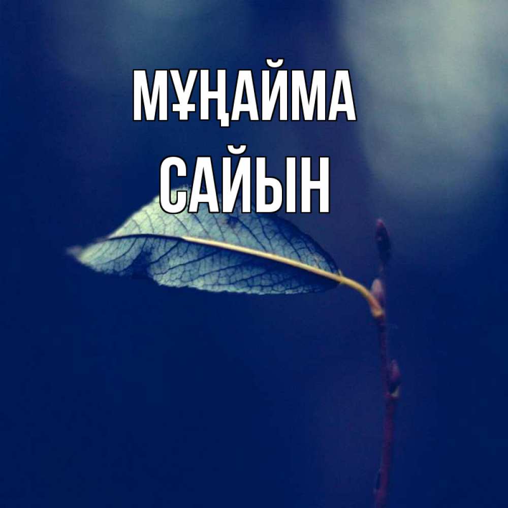 Күн сайын ашық хат с именем, САЙЫН Мұңайма растение Онлайн тегін жүктеп алу тілектері бар керемет карта 