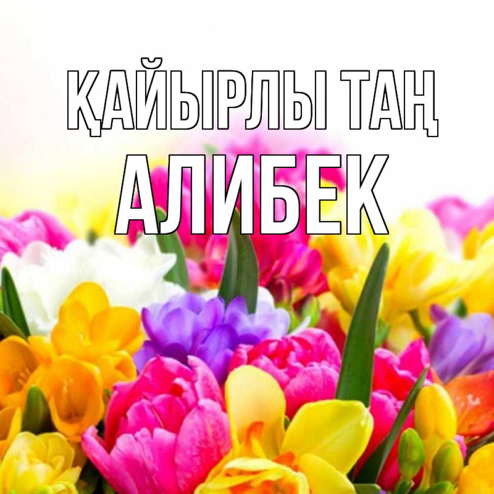 Күн сайын ашық хат с именем, Алибек Қайырлы таң создать открытку со свое подписью Онлайн тегін жүктеп алу тілектері бар керемет карта 