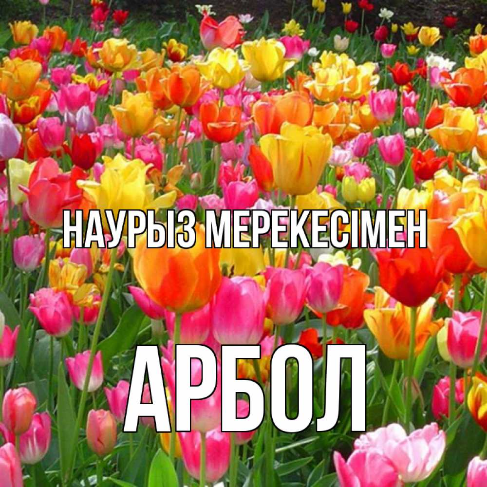 Күн сайын ашық хат с именем, Арбол Наурыз мерекесімен праздник весны наурыз 4 Онлайн тегін жүктеп алу тілектері бар керемет карта 