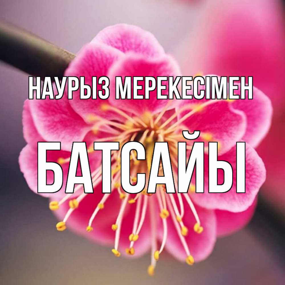 Күн сайын ашық хат с именем, Батсайы Наурыз мерекесімен цветы Онлайн тегін жүктеп алу тілектері бар керемет карта 