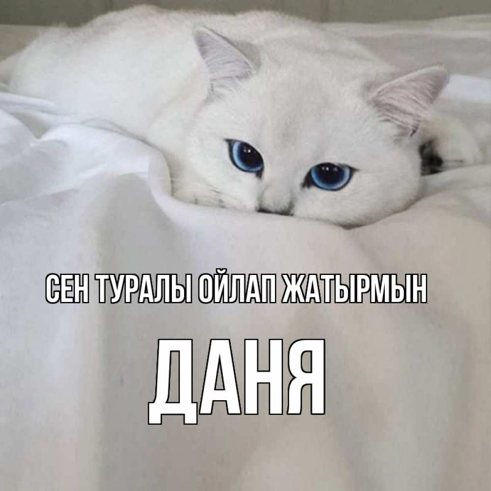 Күн сайын ашық хат с именем, Даня Сен туралы ойлап жатырмын я очень по тебе скучаю и тоскую Онлайн тегін жүктеп алу тілектері бар керемет карта 