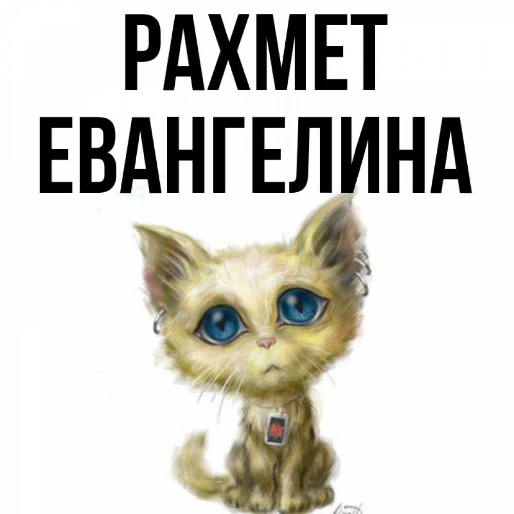 Күн сайын ашық хат с именем, Евангелина рахмет рисованный кот благодарит вас Онлайн тегін жүктеп алу тілектері бар керемет карта 