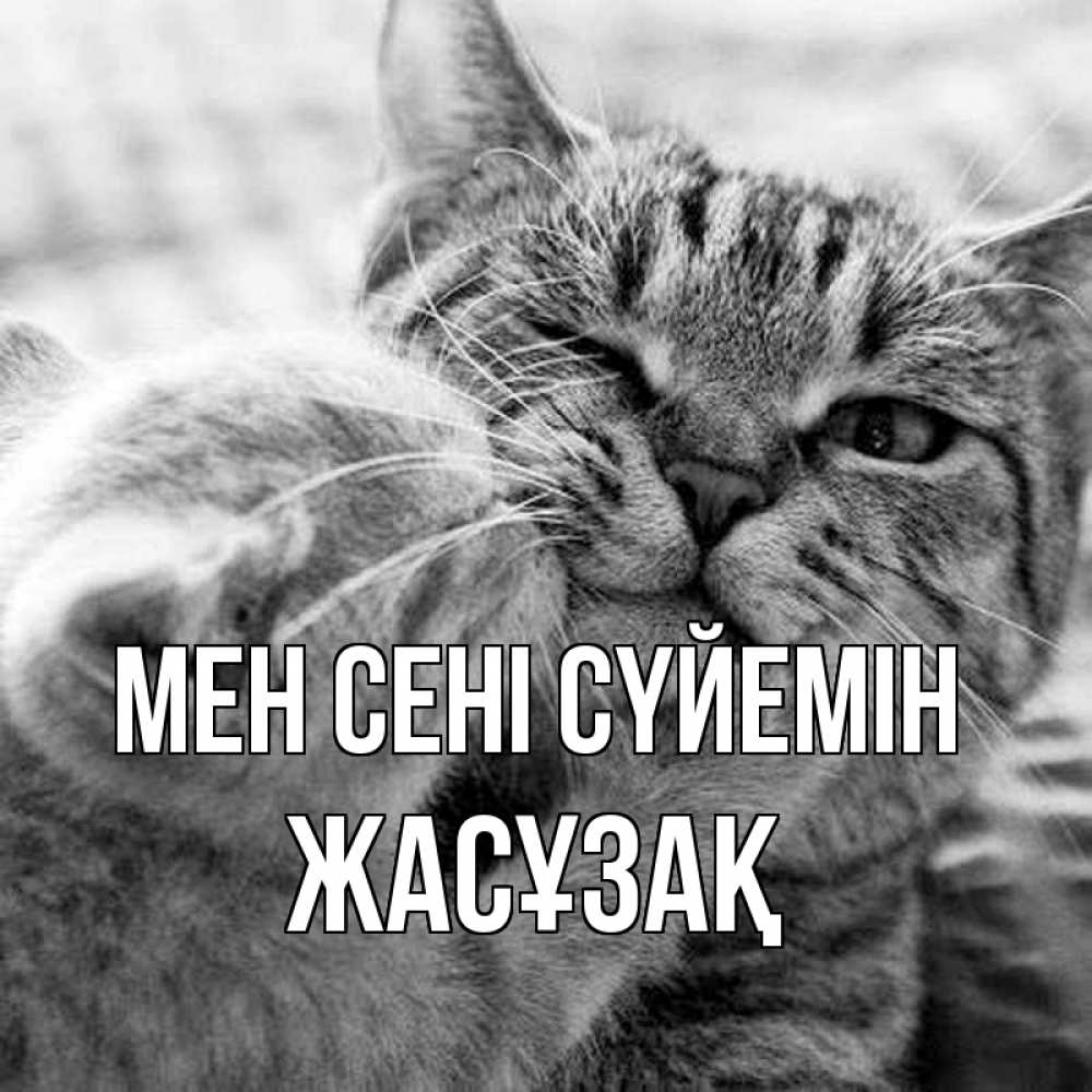 Күн сайын ашық хат с именем, Жасұзақ Мен сені сүйемін коты Онлайн тегін жүктеп алу тілектері бар керемет карта 