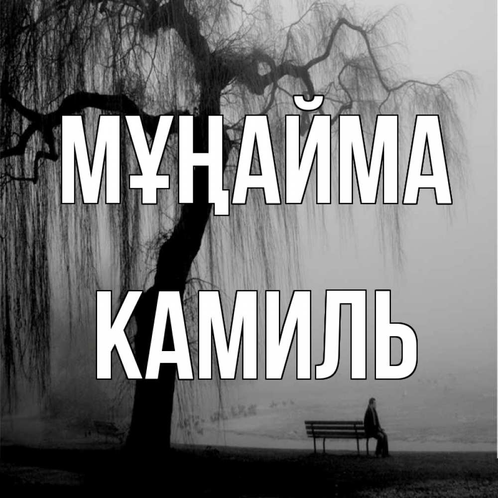 Күн сайын ашық хат с именем, Камиль Мұңайма висящие ветки дерева и лавочка под деревом Онлайн тегін жүктеп алу тілектері бар керемет карта 