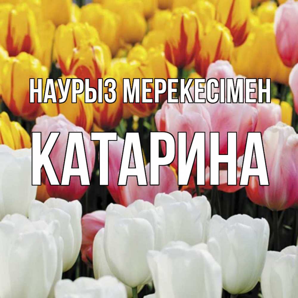 Күн сайын ашық хат с именем, Катарина Наурыз мерекесімен разноцветные цветы Онлайн тегін жүктеп алу тілектері бар керемет карта 