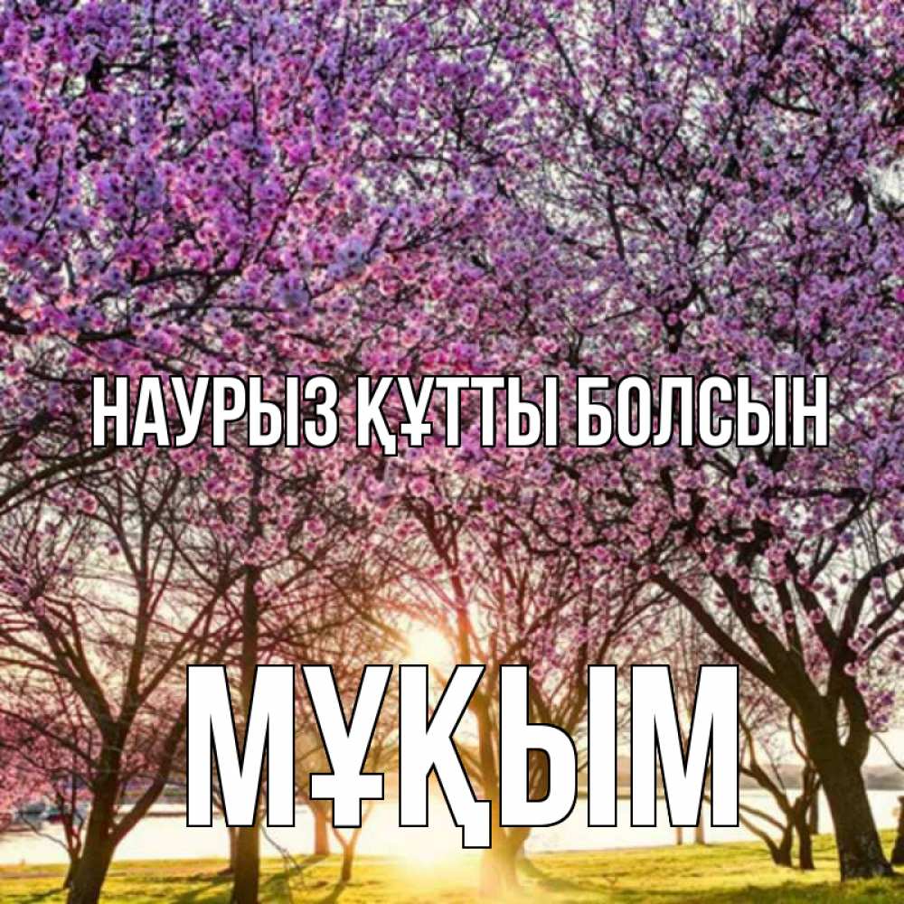 Күн сайын ашық хат с именем, МҰҚЫМ Наурыз құтты болсын наурыз Онлайн тегін жүктеп алу тілектері бар керемет карта 