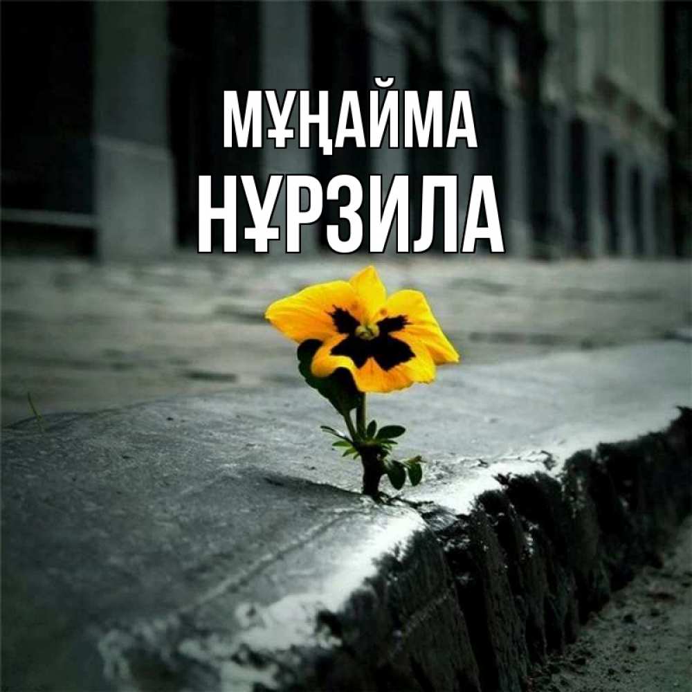 Күн сайын ашық хат с именем, НҰРЗИЛА Мұңайма не сдавайся Онлайн тегін жүктеп алу тілектері бар керемет карта 
