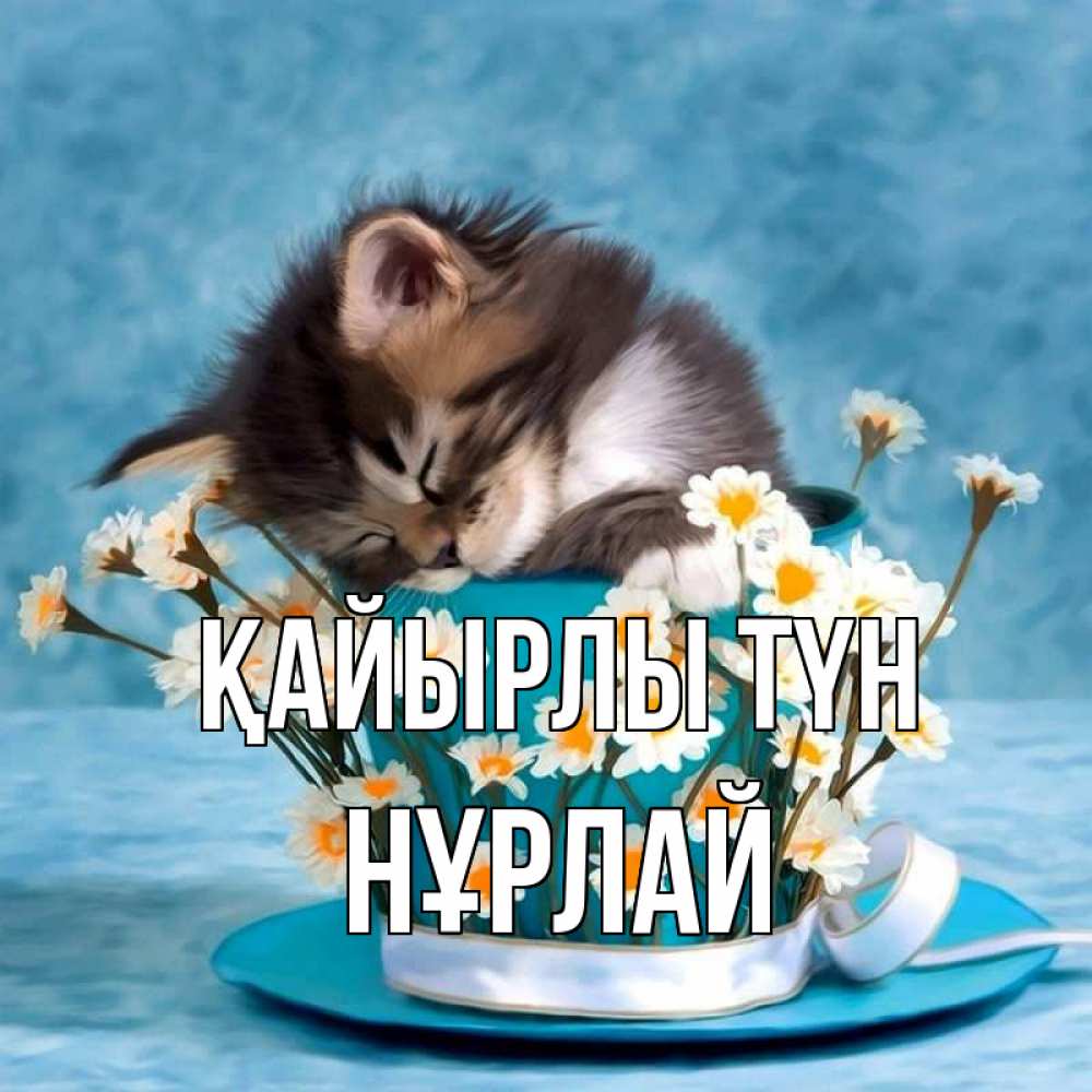 Күн сайын ашық хат с именем, НҰРЛАЙ Қайырлы түн котенок спит в кружке с блюдцем Онлайн тегін жүктеп алу тілектері бар керемет карта 