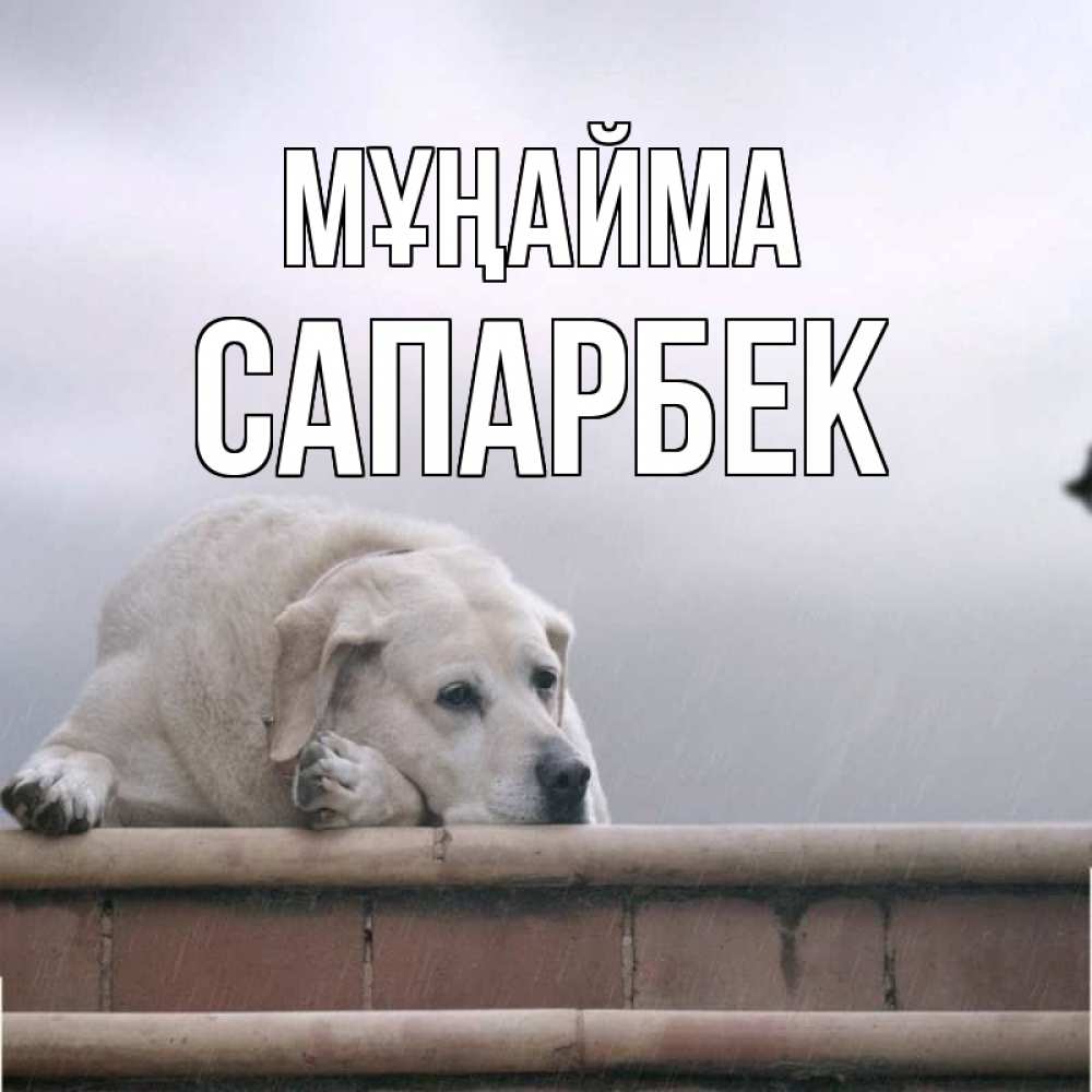 Күн сайын ашық хат с именем, САПАРБЕК Мұңайма белый пес 1 Онлайн тегін жүктеп алу тілектері бар керемет карта 