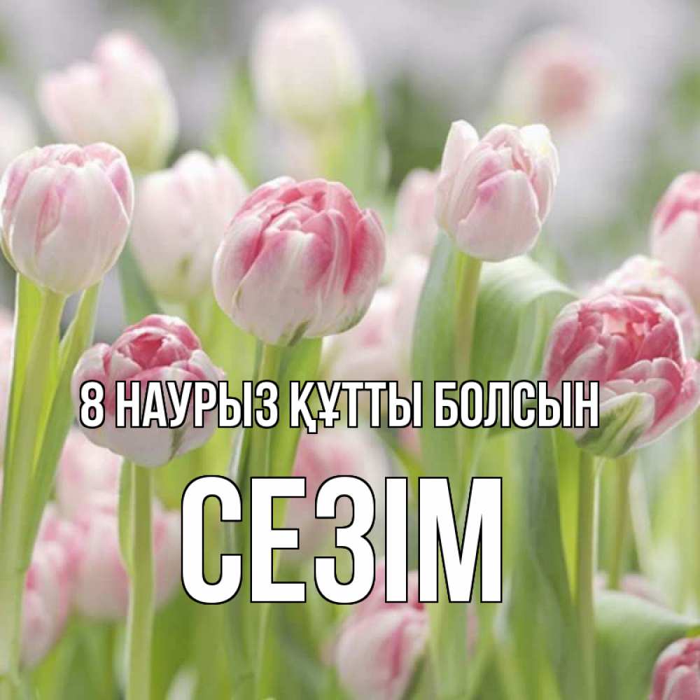 Күн сайын ашық хат с именем, СЕЗІМ 8 наурыз құтты болсын цветы Онлайн тегін жүктеп алу тілектері бар керемет карта 