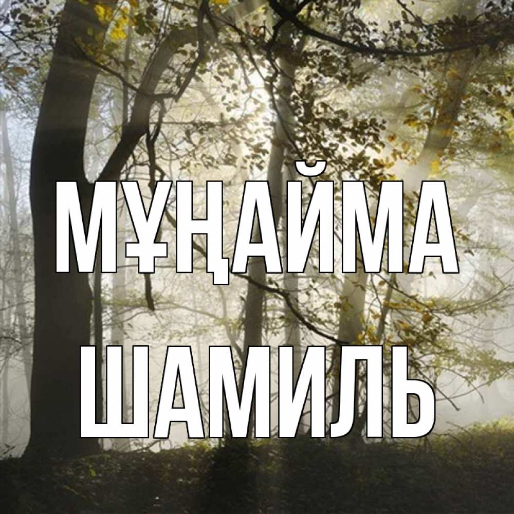 Күн сайын ашық хат с именем, Шамиль Мұңайма лес и свет Онлайн тегін жүктеп алу тілектері бар керемет карта 