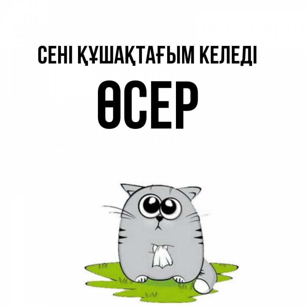 Күн сайын ашық хат с именем, ӨСЕР сені құшақтағым келеді котик теребит платочек сидя на травке Онлайн тегін жүктеп алу тілектері бар керемет карта 