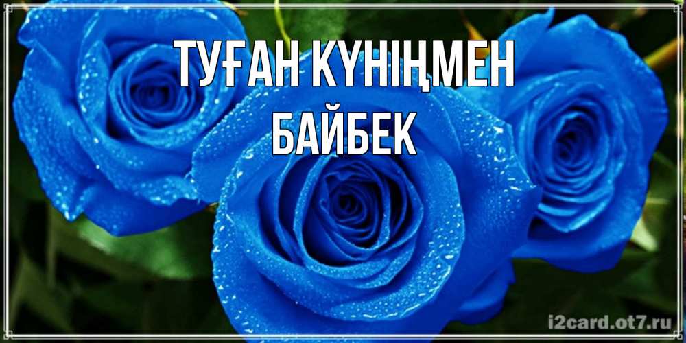 Күн сайын ашық хат с именем, Байбек Туған күніңмен розы с синим цветом Онлайн тегін жүктеп алу тілектері бар керемет карта 