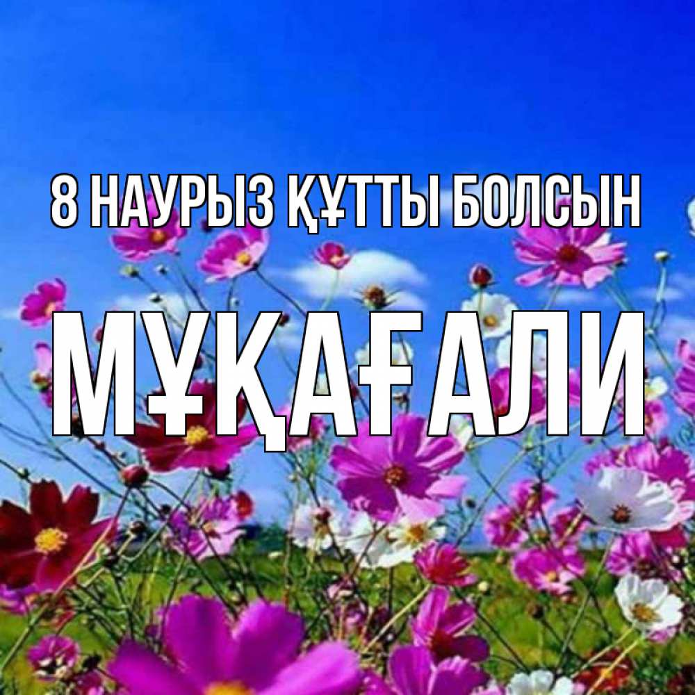 Күн сайын ашық хат с именем, МҰҚАҒАЛИ 8 наурыз құтты болсын цветы Онлайн тегін жүктеп алу тілектері бар керемет карта 