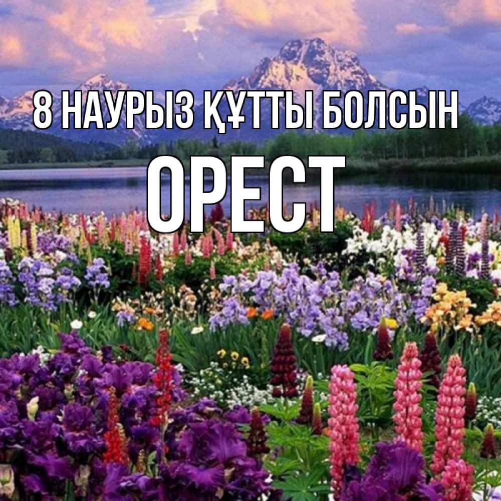 Күн сайын ашық хат с именем, Орест 8 наурыз құтты болсын международный женский день Онлайн тегін жүктеп алу тілектері бар керемет карта 