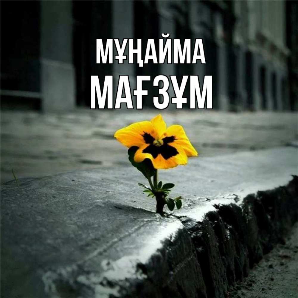 Күн сайын ашық хат с именем, МАҒЗҰМ Мұңайма не сдавайся Онлайн тегін жүктеп алу тілектері бар керемет карта 