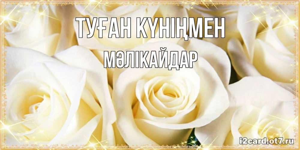 Күн сайын ашық хат с именем, МӘЛІКАЙДАР Туған күніңмен розочки белого цвета на открытке Онлайн тегін жүктеп алу тілектері бар керемет карта 