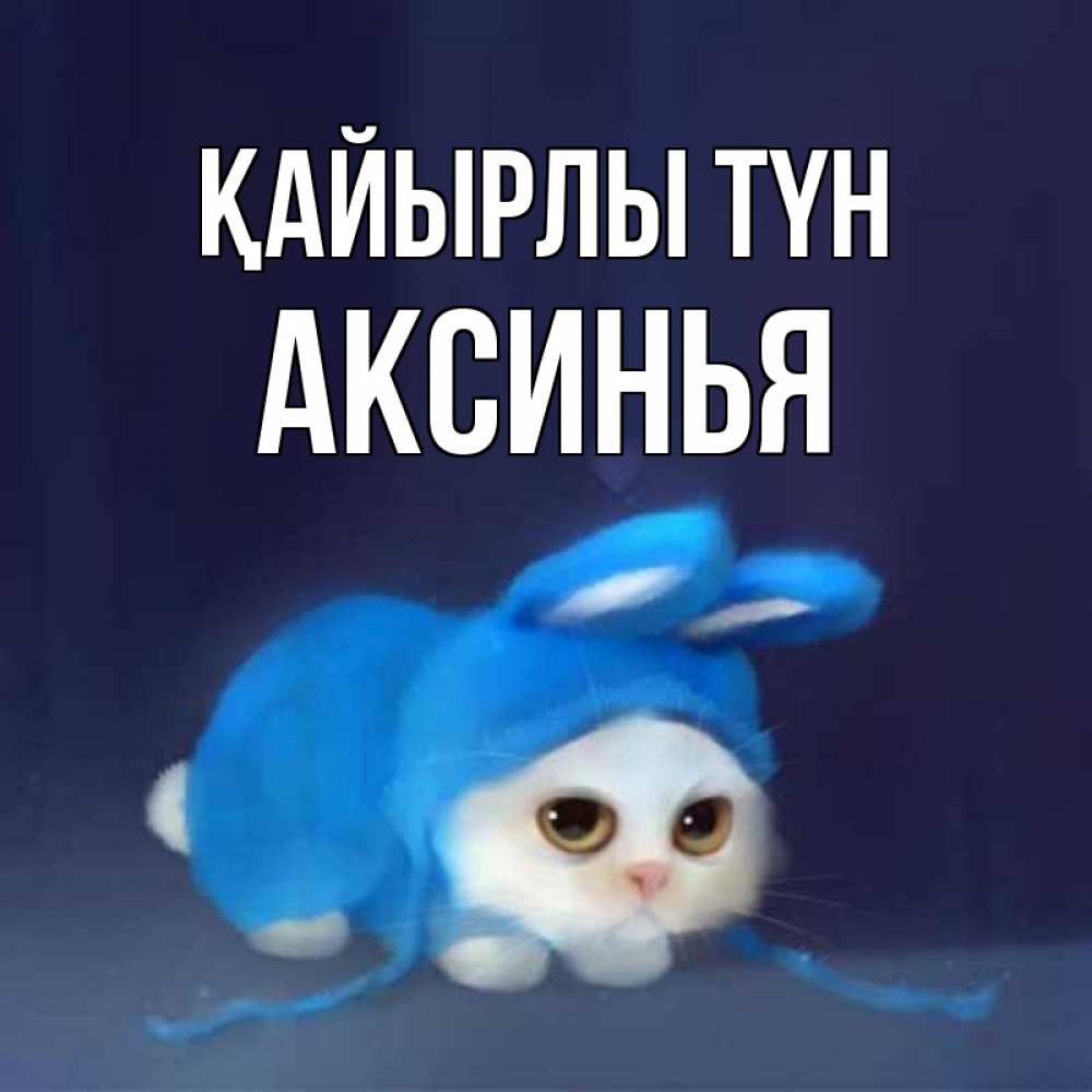 Күн сайын ашық хат с именем, Аксинья Қайырлы түн кот в голубом костюме кролика с ушками Онлайн тегін жүктеп алу тілектері бар керемет карта 