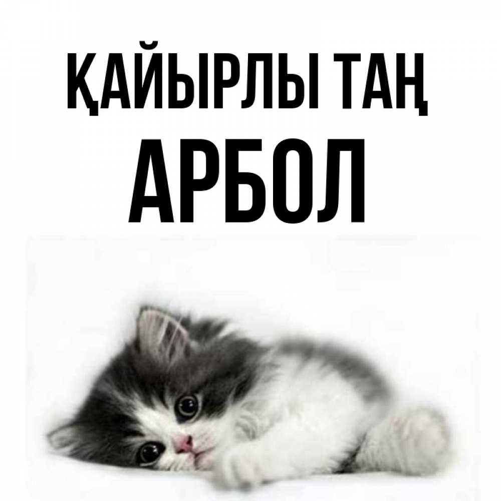 Күн сайын ашық хат с именем, Арбол Қайырлы таң кот лапки Онлайн тегін жүктеп алу тілектері бар керемет карта 