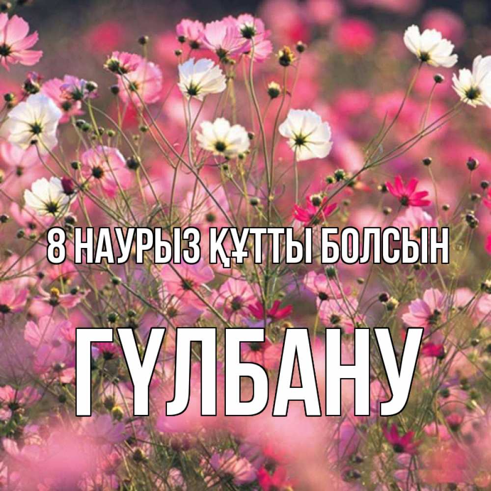Күн сайын ашық хат с именем, ГҮЛБАНУ 8 наурыз құтты болсын красиво 1 Онлайн тегін жүктеп алу тілектері бар керемет карта 