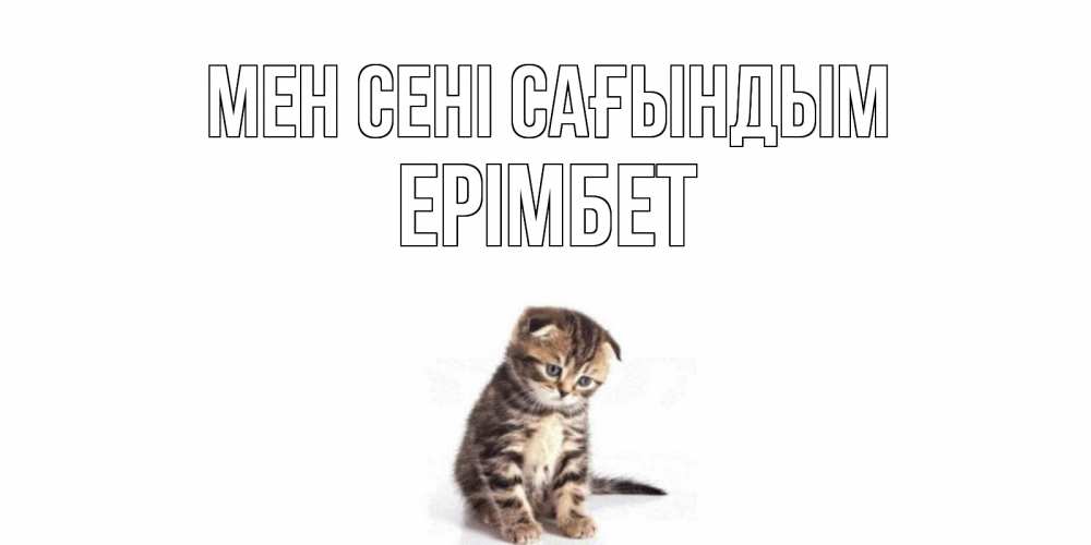 Күн сайын ашық хат с именем, Ерімбет Мен сені сағындым кот Онлайн тегін жүктеп алу тілектері бар керемет карта 