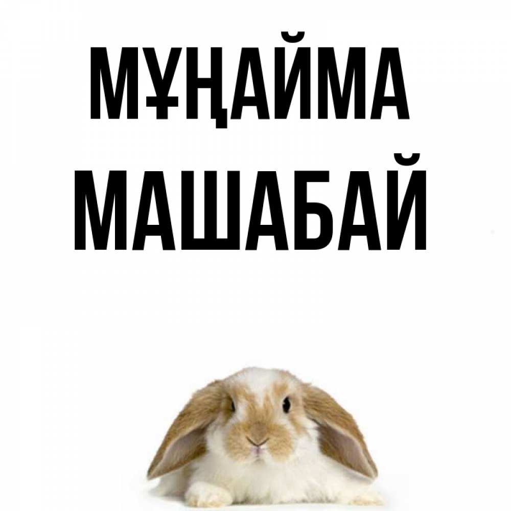Күн сайын ашық хат с именем, МАШАБАЙ Мұңайма коричнево белый заяц с большими ушками Онлайн тегін жүктеп алу тілектері бар керемет карта 
