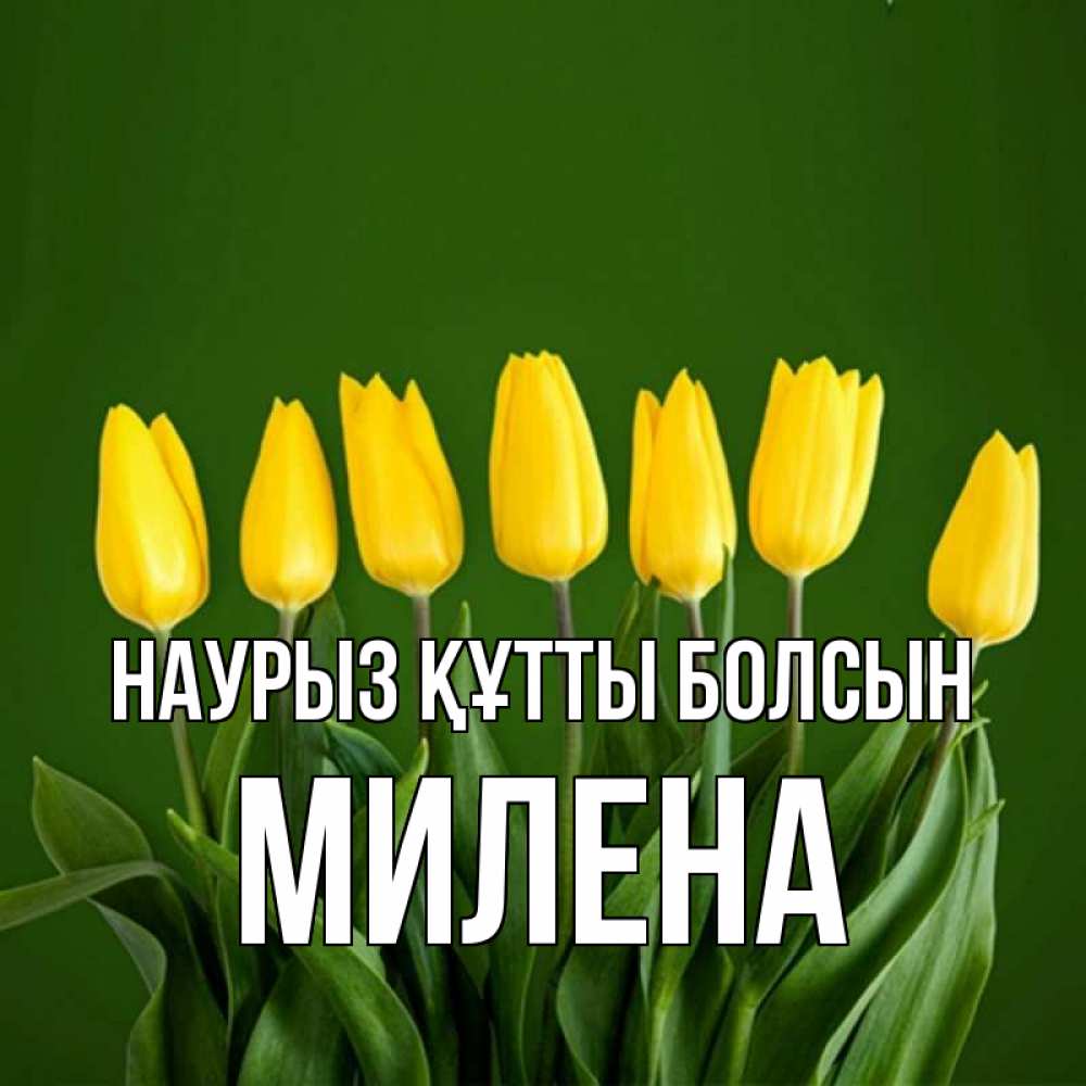 Күн сайын ашық хат с именем, Милена Наурыз құтты болсын желтого цвета 3 Онлайн тегін жүктеп алу тілектері бар керемет карта 