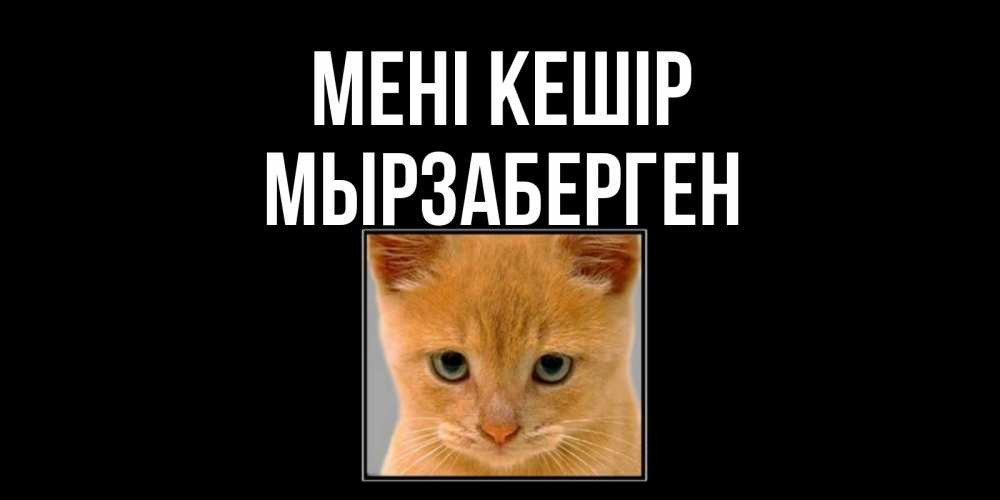 Күн сайын ашық хат с именем, Мырзаберген Мені кешір рыжий грустный кот просит прощения Онлайн тегін жүктеп алу тілектері бар керемет карта 