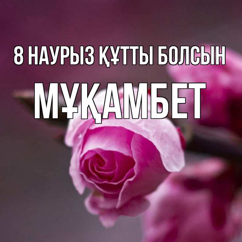 Күн сайын ашық хат с именем, МҰҚАМБЕТ 8 наурыз құтты болсын весна Онлайн тегін жүктеп алу тілектері бар керемет карта 