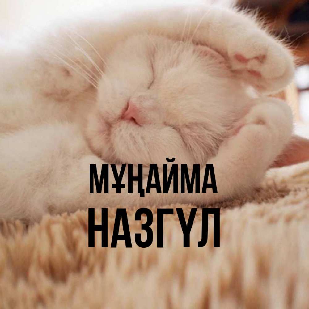 Күн сайын ашық хат с именем, НАЗГҮЛ Мұңайма Котенок спит Онлайн тегін жүктеп алу тілектері бар керемет карта 