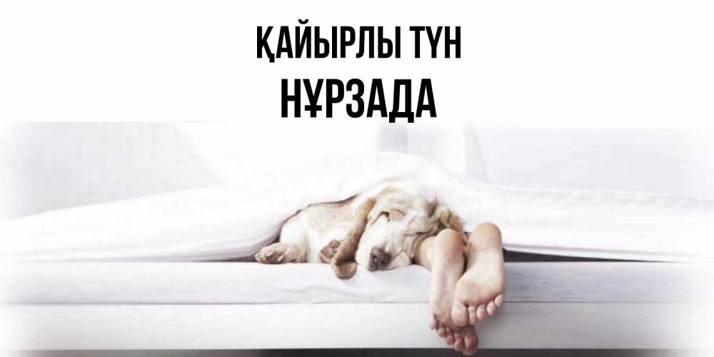 Күн сайын ашық хат с именем, НҰРЗАДА Қайырлы түн кровать с собакой пожелание сладких снов и спокойной ночи Онлайн тегін жүктеп алу тілектері бар керемет карта 