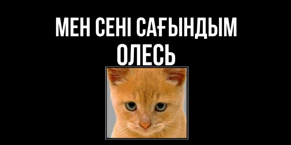 Күн сайын ашық хат с именем, Олесь Мен сені сағындым открытки рыжий котенок скучает по тебе Онлайн тегін жүктеп алу тілектері бар керемет карта 